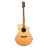 Breedlove DSCN01CERCAM 2 Discovery S Concert Nylon CE Electro Acoustic Guitar