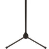 Fender Telescoping Boom Microphone Stand