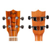 Flight AUC33 Orchid Concert Ukulele with Bag