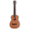 Furch LJ 10 MM Little Jane Travel 6 String Acoustic Guitar