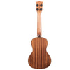 Kala Gloss Solid Cedar Top Acacia Concert Ukulele