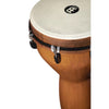 Meinl JD14 14" Jumbo Series Synthetic Djembe