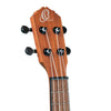 Ortega RU4MM Sapele Bonfire Series Concert Ukulele