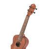 Ortega RU4MM Sapele Bonfire Series Concert Ukulele