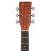 Vault EA25 Grand Auditorium Shape Acoustic Guitar with Bubinga Back and Sides