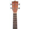 Vault UK-100CP 23" Pineapple Shape Concert Ukulele