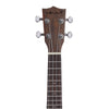 Vault UK-200S 21" Premium Walnut Laminate with Side Soundport Soprano Ukulele