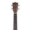 Vault UK-200T 26" Premium Walnut Laminate with Side Soundport Tenor Ukulele