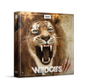 Boom Wildcats Sound Effects Library