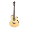 Aria Acoustic Guitars Natural Aria FET-01STD Acoustic Guitar