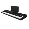 Artesia Digital Pianos Artesia PE 88 Key Deluxe Digital Piano - Black