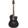 Ashton Acoustic Guitar Bundles Ashton D10C 39-inch Cutaway Acoustic Guitar with Gigbag, Picks, Strap, Cloth & Ebook