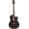 Ashton Acoustic Guitar Bundles Ashton D10C 39-inch Cutaway Acoustic Guitar with Gigbag, Picks, Strap, Cloth & Ebook