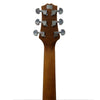 Ashton Acoustic Guitars Ashton D10C 39-inch Cutaway Acoustic Guitar