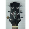 Ashton Electro Acoustic Guitars Ashton D20CEQ Dreadnought 41-Inch Cutaway Electro-Acoustic Guitar - Open Box B Stock