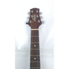 Ashton Electro Acoustic Guitars Ashton D20CEQ Dreadnought 41-Inch Cutaway Electro-Acoustic Guitar - Open Box B Stock