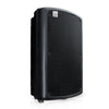 Ashton Passive Pa Speakers Ashton MAS10 10inch 200W Passive PA Speaker