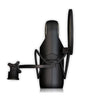 Aston Microphones Condenser Microphones Aston Microphones Element Condenser Microphone With Shockmount & Pop-Filter- Black