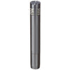 Audio-Technica Condenser Microphones Audio-Technica AT2031 Cardioid Condenser End Address Microphone