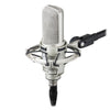 Audio-Technica Condenser Microphones Audio-Technica AT4047MP Multi-Pattern Condenser Microphone