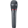 Audio-Technica Dynamic Microphones Audio-Technica AE6100 Hypercardioid Dynamic Microphone