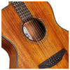 Bromo Acoustic Guitars Bromo BAT2M Tahoma Series Auditorium 6 String Acoustic Guitar