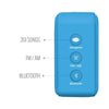 Carvaan Bluetooth Speakers Saregama Carvaan Mini 2.0 Portable Music Player With Bluetooth/FM/AM/AUX