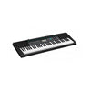 Casio Portable Keyboards Casio CTK 2550 61 Key Standard Portable Keyboard With Adapter