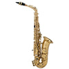 Chateau Saxophones Chateau Alto Saxophone CAS-21 CVL