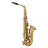 Chateau Saxophones Chateau CAS-21L Cheverny Series Alto Saxophone