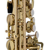 Chateau Saxophones Chateau CAS-21L Cheverny Series Alto Saxophone