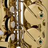 Chateau Saxophones Chateau CAS-21L Cheverny Series Alto Saxophone