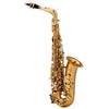 Chateau Saxophones Golden Chateau Valencay Series CAS-22 Alto Saxophone