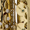 Chateau Saxophones Lacquer Chateau Cheverny Series CTS-21L Tenor Saxophone