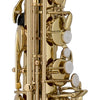 Chateau Saxophones Lacquer Chateau Cheverny Series CTS-21L Tenor Saxophone