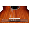 Cordoba Classical Guitars Cordoba C4-CE Iberia Series 6-String Classical Guitar