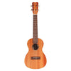 Cordoba Tenor Ukuleles Natural Cordoba Protege U1T Tenor Ukulele