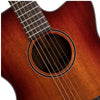 Cort Electro Acoustic Guitars Cort Core OC Blackwood 6-Strings Electro Acoustic Guitar With Bag- Open Pore Light Burst