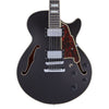 D'Angelico Electric Guitars D'Angelico Premier SS Semi-Hollow 6 String Electric Guitar