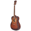 D'Angelico Electro Acoustic Guitars D'Angelico Premier Tammany LS Electro Acoustic Guitar