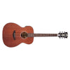 D'Angelico Electro Acoustic Guitars D'Angelico Premier Tammany LS Electro Acoustic Guitar