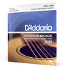 DAddario Acoustic Guitar Strings 0.012-0.052 D'Addario Phosphor Bronze 12 String Acoustic Guitar String Set