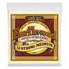 Ernie Ball Acoustic Guitar Strings Ernie Ball 2012 Earthwood 80/20 Bronze 12 Acoustic Strings Medium