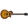 ESP Electric Guitars Tone Burst ESP Electric Guitar LTD EC Series EC-10