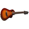 ESP Electro Acoustic Guitars ESP Avante Gryphon AG12 12 String Electro Acoustic Guitar With Bag