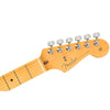 Fender Electric Guitars Fender American Professional II Stratocaster 6-Strings Electric Guitar With Case