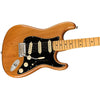 Fender Electric Guitars Fender American Professional II Stratocaster 6-Strings Electric Guitar With Case