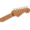 Fender Electric Guitars Fender Limited Edition Player Stratocaster 6 String Electric Guitar