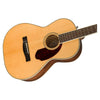 Fender Electro Acoustic Guitars Fender PM 2E Standard Parlor Electro Acoustic Guitar with Case