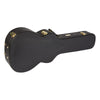 Fender Electro Acoustic Guitars Fender PM 2E Standard Parlor Electro Acoustic Guitar with Case